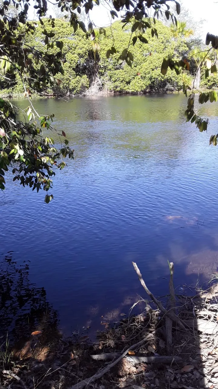 Fazenda em Barreiras/Bahia — Ref 0JJRE6 — Imagem 7