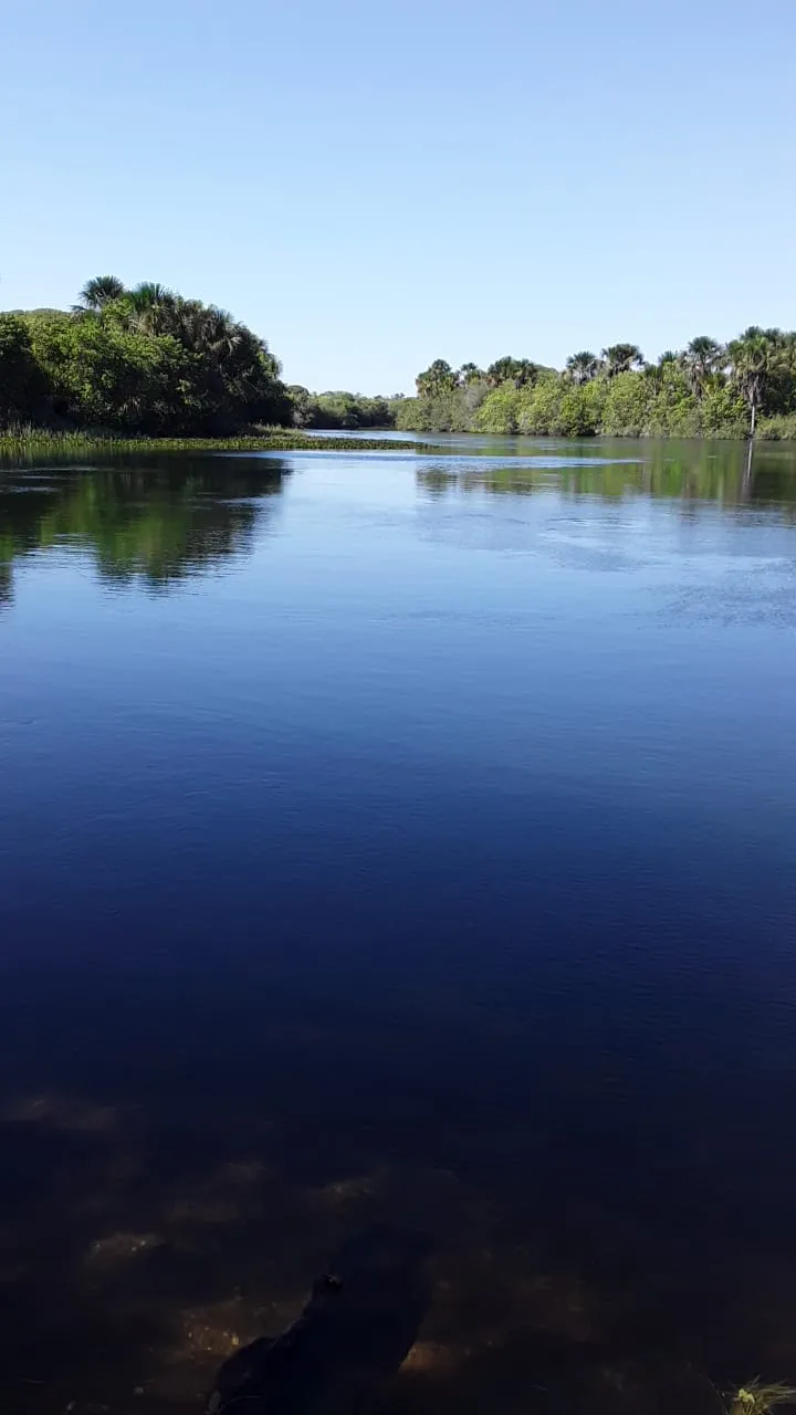 Fazenda em Barreiras/Bahia — Ref 0JJRE6 — Imagem 8