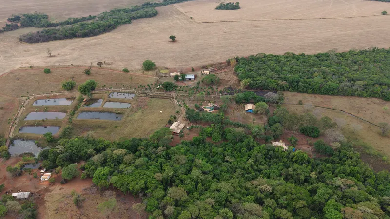 Fazenda em Cristianópolis/Goiás — Ref BBA31W — Imagem 6