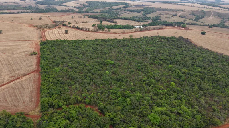 Fazenda em Cristianópolis/Goiás — Ref BBA31W — Imagem 15