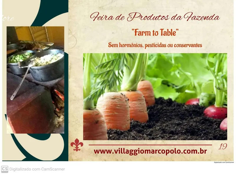 Fazenda em Cristianópolis/Goiás — Ref BBA31W — Imagem 42