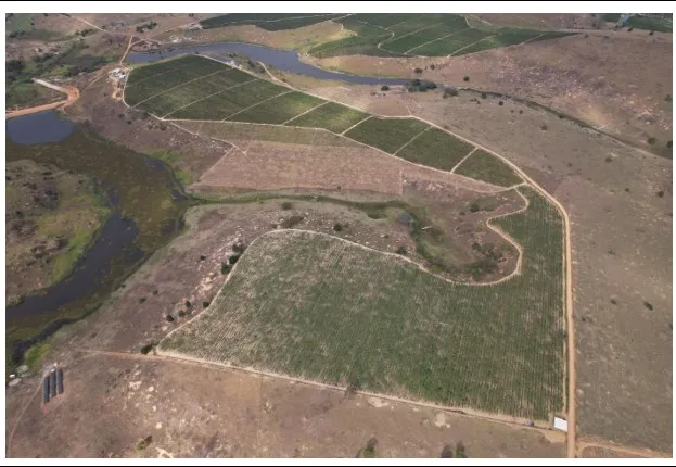 Fazenda em Montanha/Espírito Santo — Ref 8CNNVR — Imagem 11