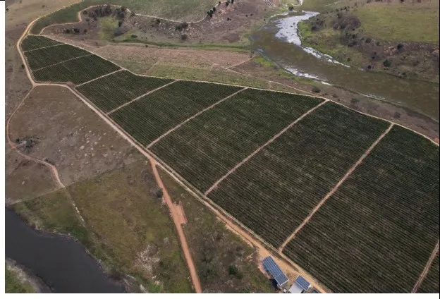 Fazenda em Montanha/Espírito Santo — Ref 8CNNVR — Imagem 2