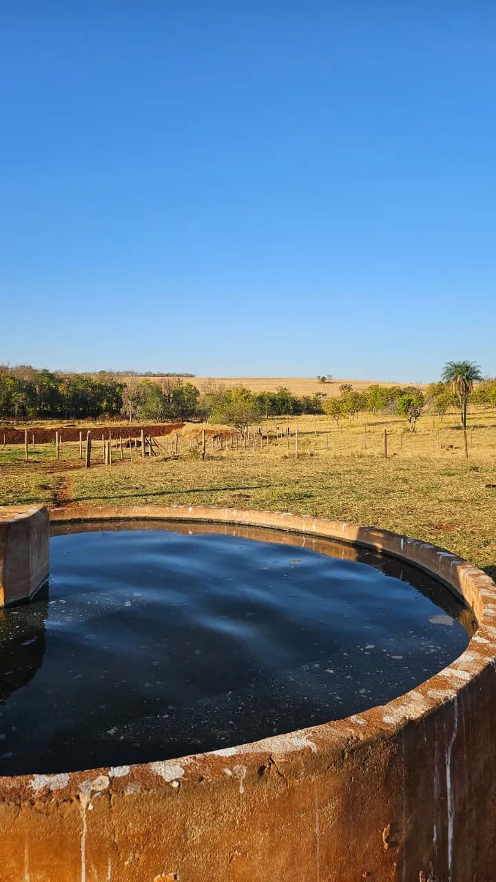 Sítio em Campo Grande/Mato Grosso do Sul — Ref XBG2LX — Imagem 7
