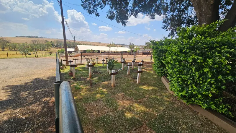 Sítio em Campo Grande/Mato Grosso do Sul — Ref XBG2LX — Imagem 8