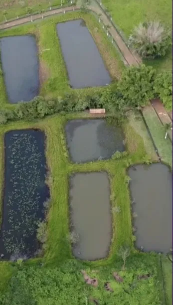 Fazenda em Cristianópolis/Goiás — Ref BBA31W — Imagem 16