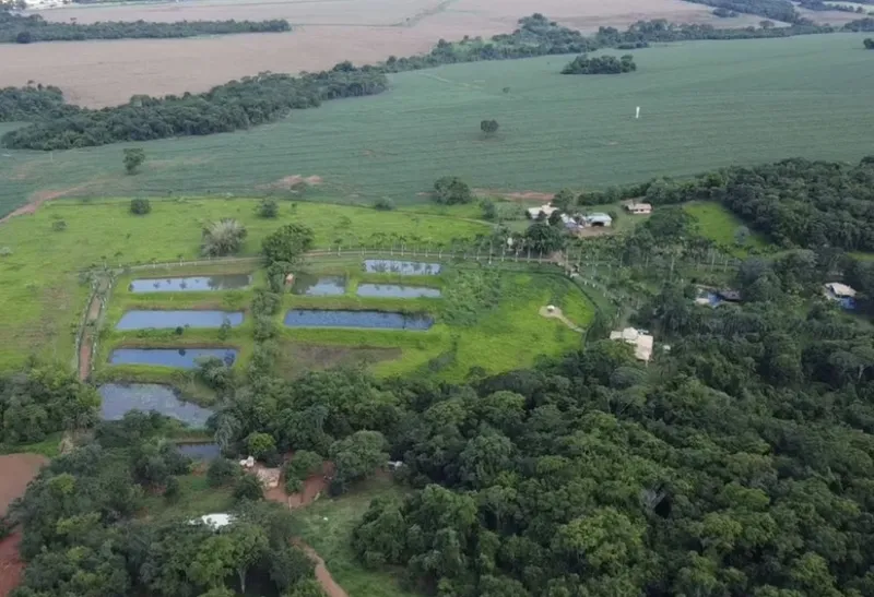 Fazenda em Cristianópolis/Goiás — Ref BBA31W — Imagem 18