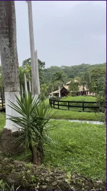 Fazenda em Cristianópolis/Goiás — Ref BBA31W — Imagem 25