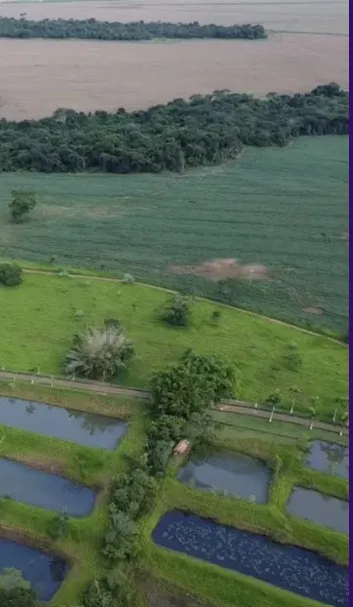 Fazenda em Cristianópolis/Goiás — Ref BBA31W — Imagem 23