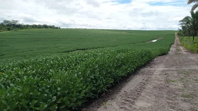 Fazenda em Matões/Maranhão — Ref 007PP8 — Imagem 2