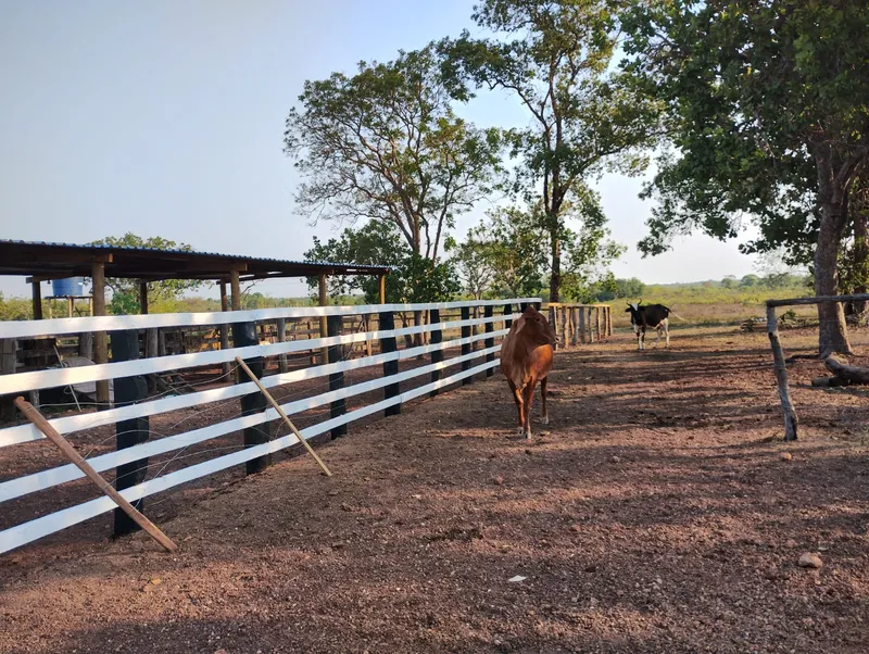 Fazenda em Lagoa da Confusão/Tocantins — Ref UOMQVZ — Imagem 3