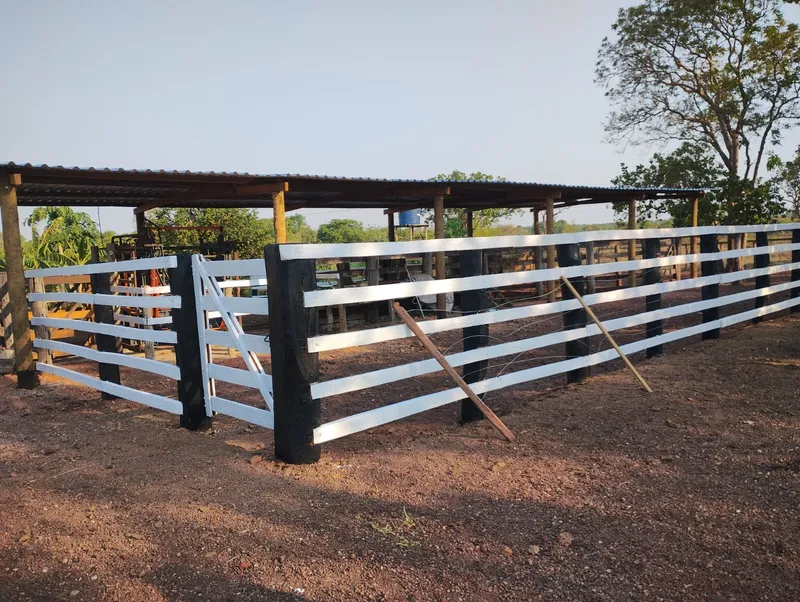 Fazenda em Lagoa da Confusão/Tocantins — Ref UOMQVZ — Imagem 4