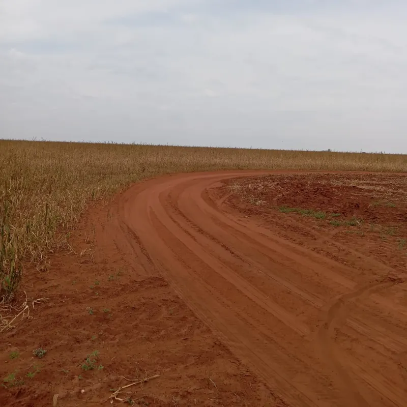Fazenda em Nova Andradina/Mato Grosso do Sul — Ref ZSRVP1 — Imagem 5