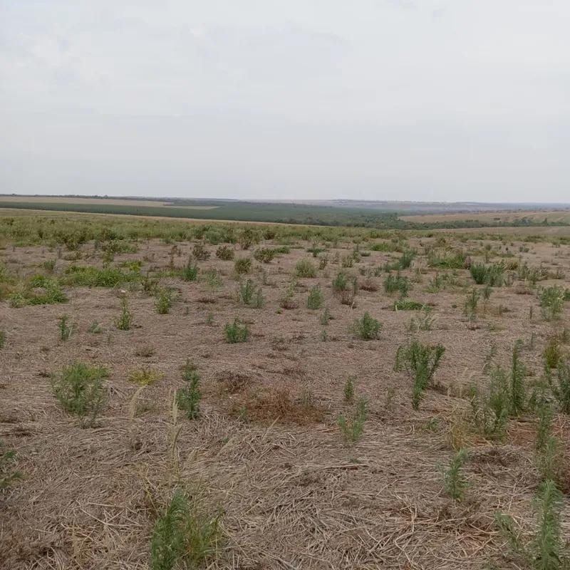Fazenda em Nova Andradina/Mato Grosso do Sul — Ref ZSRVP1 — Imagem 11