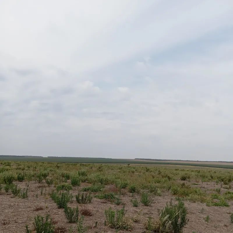 Fazenda em Nova Andradina/Mato Grosso do Sul — Ref ZSRVP1 — Imagem 15