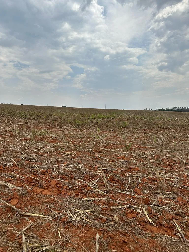 Fazenda em Nova Maringá/Mato Grosso — Ref DKOIM3 — Imagem 2