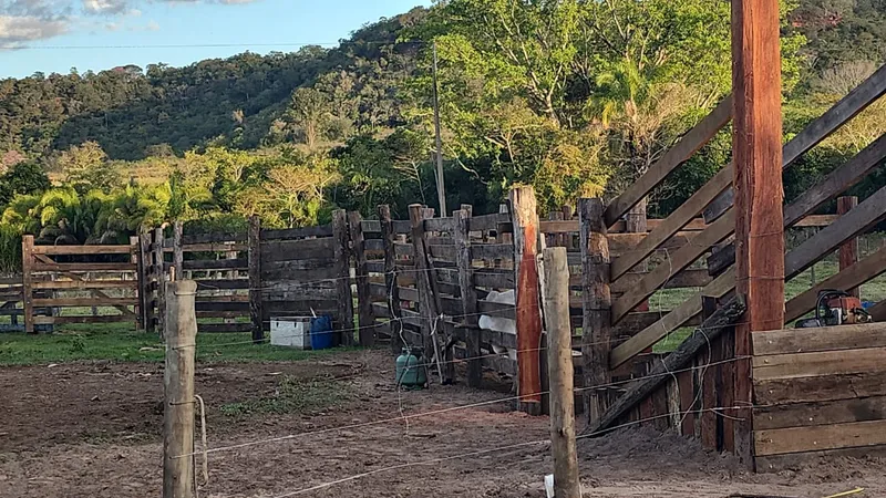 Fazenda em São Gabriel do Oeste/Mato Grosso do Sul — Ref YARW6N — Imagem 12