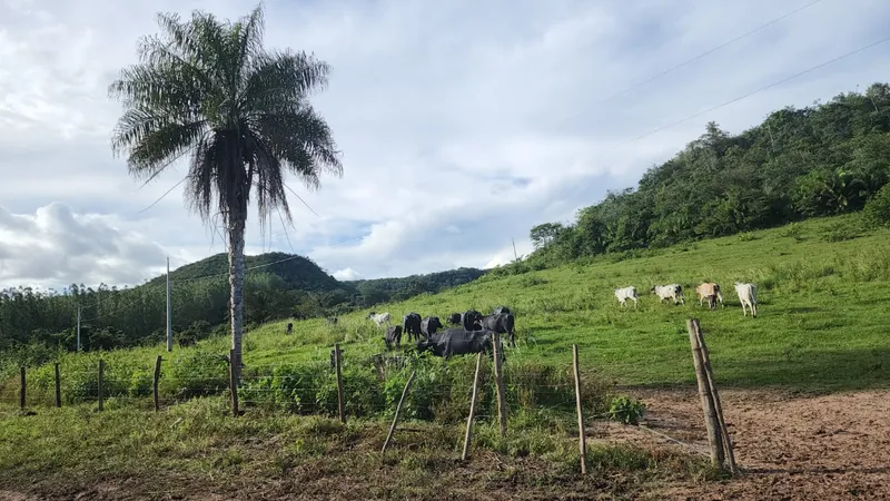 Fazenda em São Gabriel do Oeste/Mato Grosso do Sul — Ref YARW6N — Imagem 2