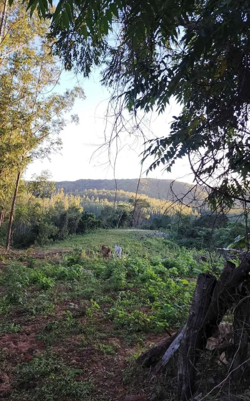 Fazenda em São Gabriel do Oeste/Mato Grosso do Sul — Ref YARW6N — Imagem 17