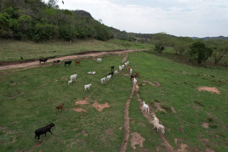 Fazenda em São Gabriel do Oeste/Mato Grosso do Sul — Ref YARW6N — Imagem 3