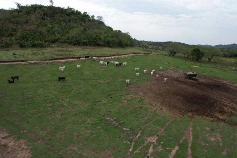 Fazenda em São Gabriel do Oeste/Mato Grosso do Sul — Ref YARW6N — Imagem 5