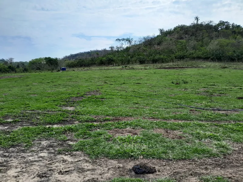 Fazenda em São Gabriel do Oeste/Mato Grosso do Sul — Ref YARW6N — Imagem 32