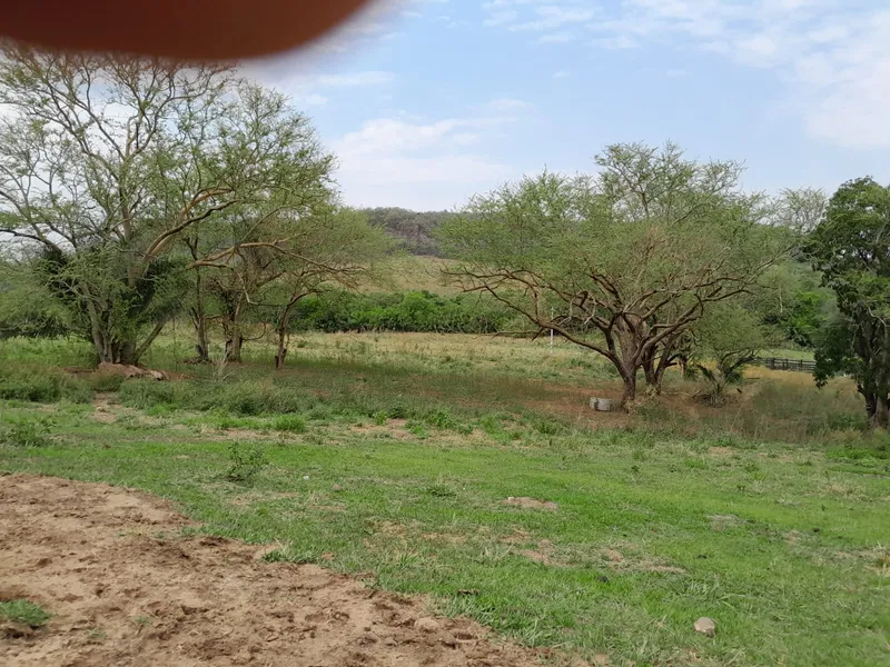 Fazenda em São Gabriel do Oeste/Mato Grosso do Sul — Ref YARW6N — Imagem 43