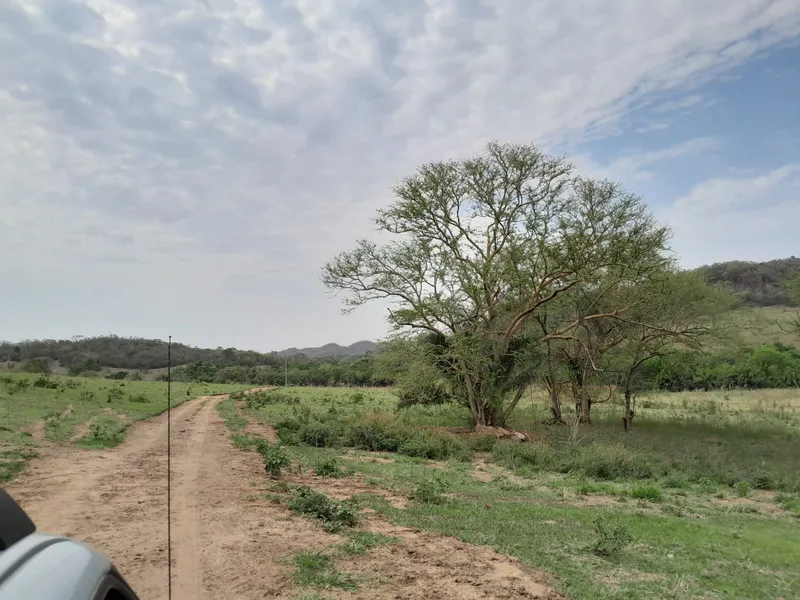 Fazenda em São Gabriel do Oeste/Mato Grosso do Sul — Ref YARW6N — Imagem 44