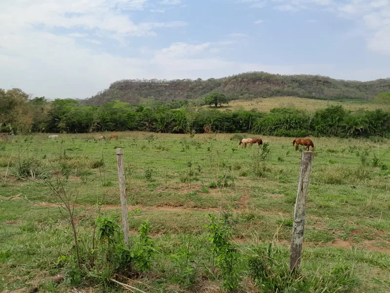 Fazenda em São Gabriel do Oeste/Mato Grosso do Sul — Ref YARW6N — Imagem 45