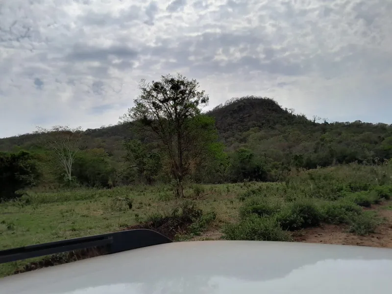 Fazenda em São Gabriel do Oeste/Mato Grosso do Sul — Ref YARW6N — Imagem 47