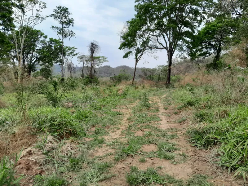Fazenda em São Gabriel do Oeste/Mato Grosso do Sul — Ref YARW6N — Imagem 48
