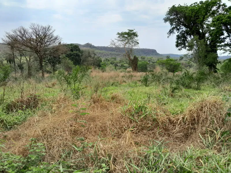 Fazenda em São Gabriel do Oeste/Mato Grosso do Sul — Ref YARW6N — Imagem 49