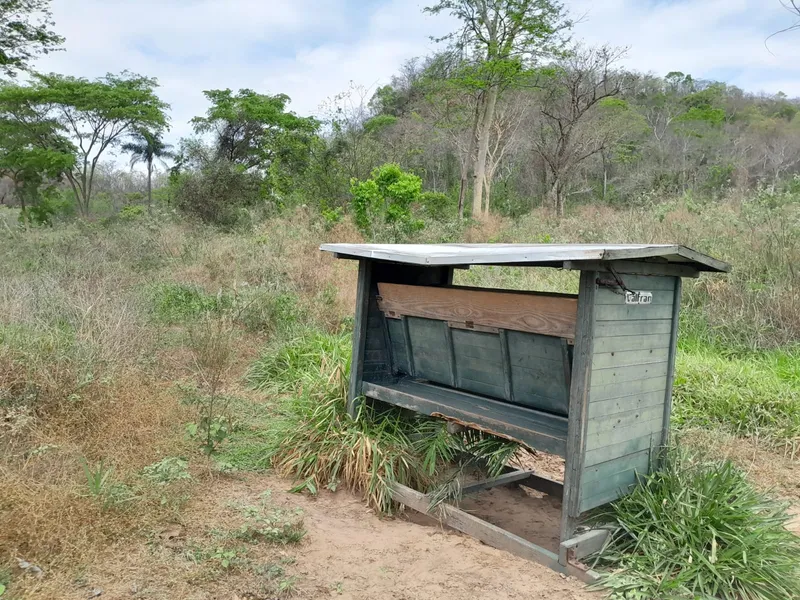 Fazenda em São Gabriel do Oeste/Mato Grosso do Sul — Ref YARW6N — Imagem 50