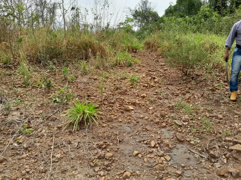 Fazenda em São Gabriel do Oeste/Mato Grosso do Sul — Ref YARW6N — Imagem 54