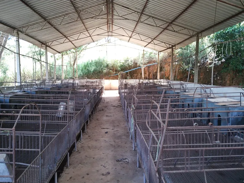 Sítio em Rio Casca/Minas Gerais — Ref 1O605Y — Imagem 6