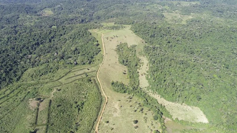 Fazenda em Uruçuca/Bahia — Ref TV6SZ7 — Imagem 3