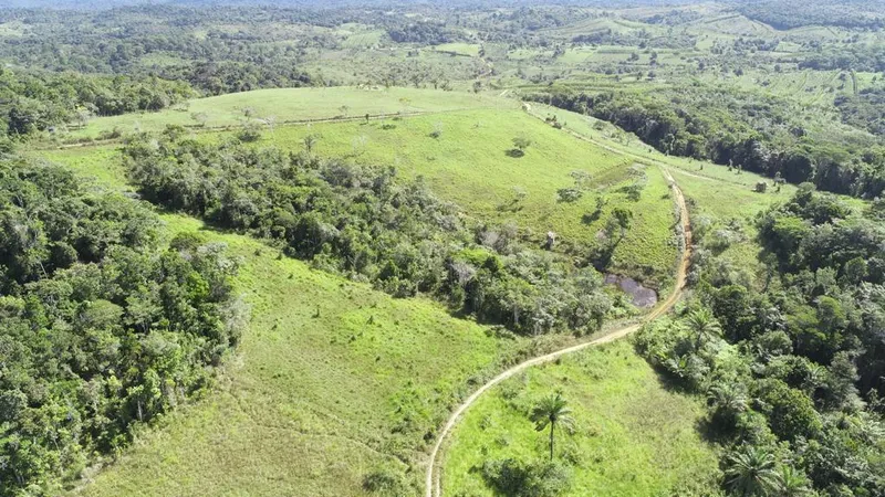 Fazenda em Uruçuca/Bahia — Ref TV6SZ7 — Imagem 2