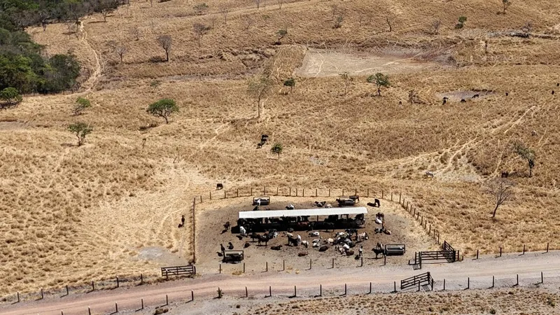 Fazenda em Pirenópolis/Goiás — Ref UR4SG2 — Imagem 10