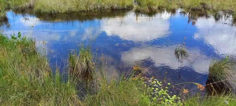 Fazenda em Montes Claros/Minas Gerais — Ref YCABVH — Imagem 6