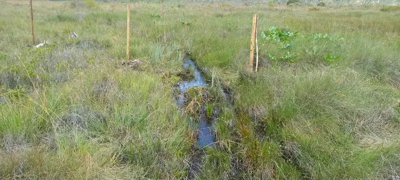 Fazenda em Montes Claros/Minas Gerais — Ref YCABVH — Imagem 7