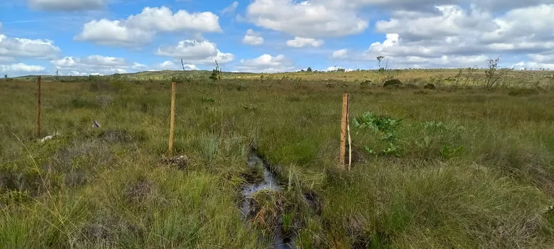Fazenda em Montes Claros/Minas Gerais — Ref YCABVH — Imagem 8