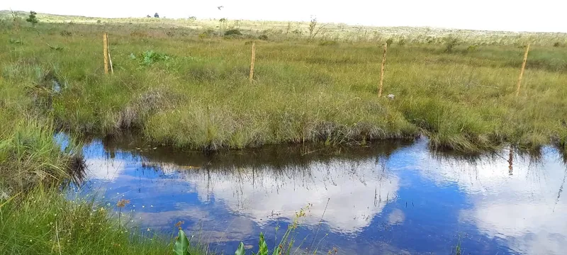Fazenda em Montes Claros/Minas Gerais — Ref YCABVH — Imagem 5