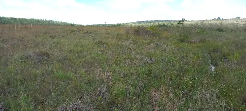 Fazenda em Montes Claros/Minas Gerais — Ref YCABVH — Imagem 9