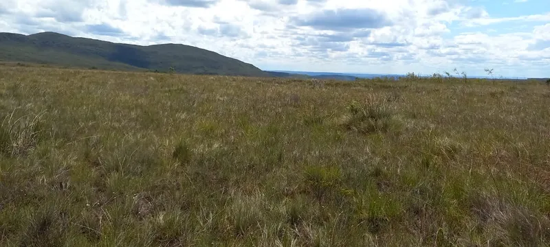 Fazenda em Montes Claros/Minas Gerais — Ref YCABVH — Imagem 10