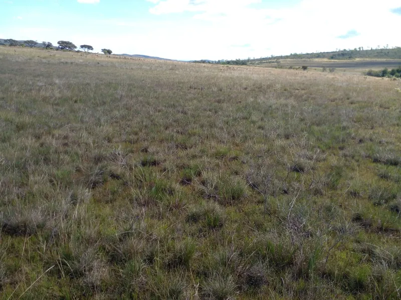 Fazenda em Montes Claros/Minas Gerais — Ref YCABVH — Imagem 12