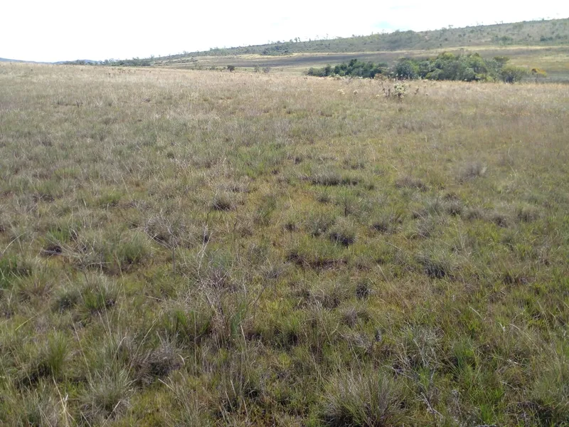 Fazenda em Montes Claros/Minas Gerais — Ref YCABVH — Imagem 13