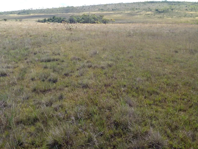 Fazenda em Montes Claros/Minas Gerais — Ref YCABVH — Imagem 14