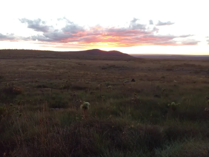 Fazenda em Montes Claros/Minas Gerais — Ref YCABVH — Imagem 16