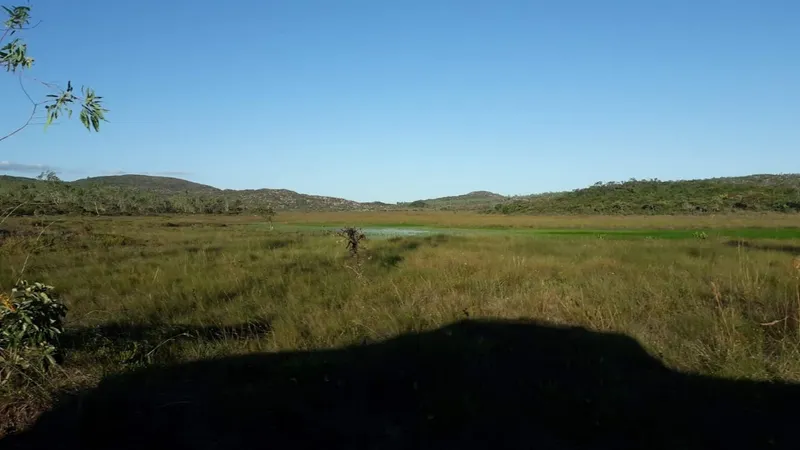 Fazenda em Montes Claros/Minas Gerais — Ref YCABVH — Imagem 17