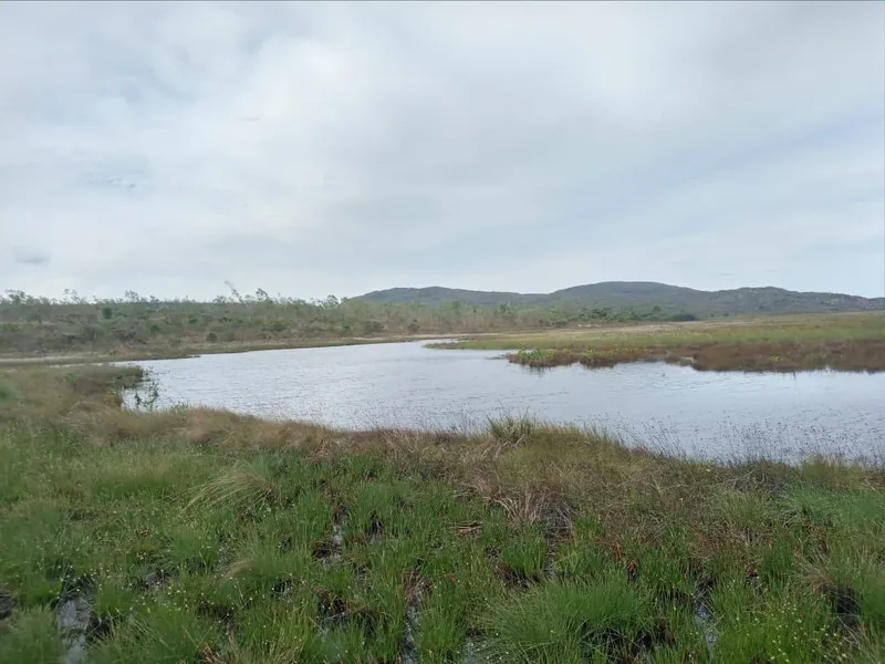 Fazenda em Montes Claros/Minas Gerais — Ref YCABVH — Imagem 18